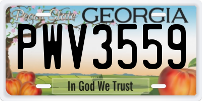 GA license plate PWV3559