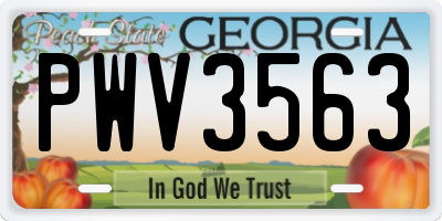 GA license plate PWV3563