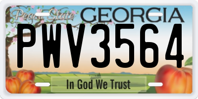 GA license plate PWV3564