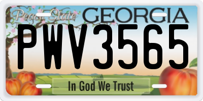 GA license plate PWV3565