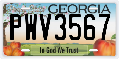 GA license plate PWV3567