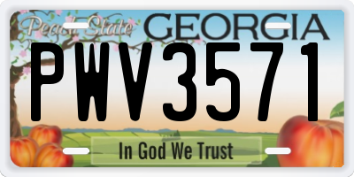 GA license plate PWV3571