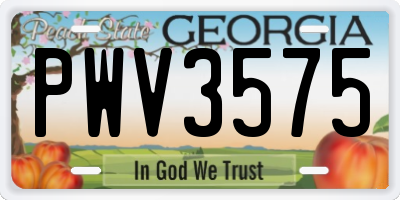 GA license plate PWV3575