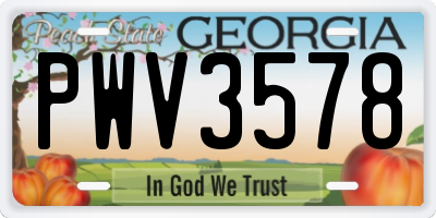 GA license plate PWV3578