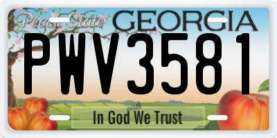 GA license plate PWV3581