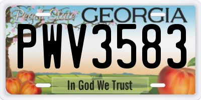 GA license plate PWV3583