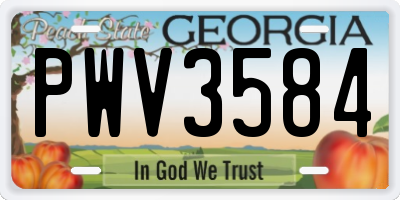 GA license plate PWV3584