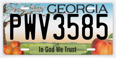 GA license plate PWV3585