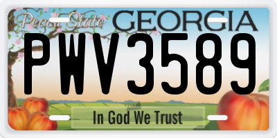 GA license plate PWV3589