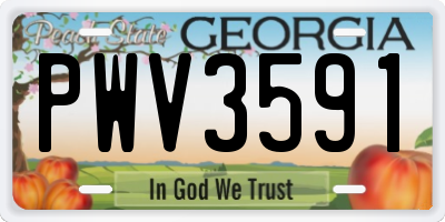 GA license plate PWV3591