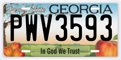GA license plate PWV3593