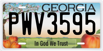 GA license plate PWV3595
