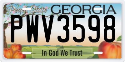GA license plate PWV3598