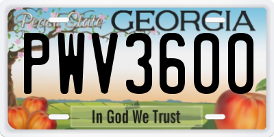 GA license plate PWV3600
