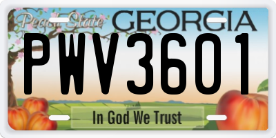 GA license plate PWV3601