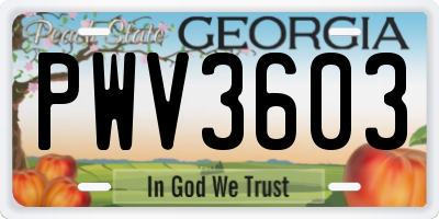 GA license plate PWV3603