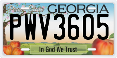 GA license plate PWV3605