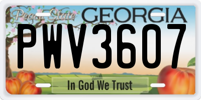 GA license plate PWV3607