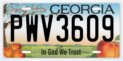 GA license plate PWV3609