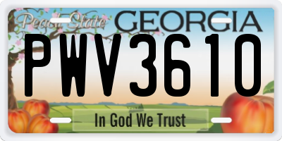 GA license plate PWV3610