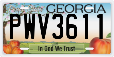 GA license plate PWV3611