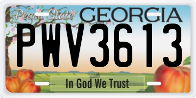 GA license plate PWV3613