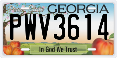 GA license plate PWV3614