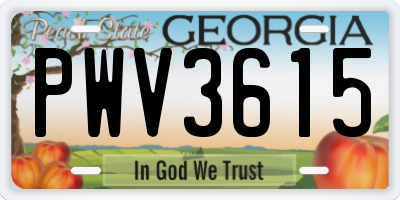 GA license plate PWV3615