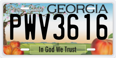 GA license plate PWV3616