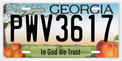 GA license plate PWV3617