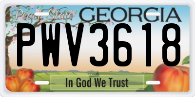GA license plate PWV3618