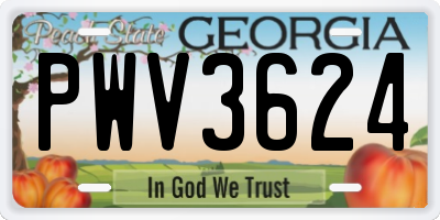 GA license plate PWV3624