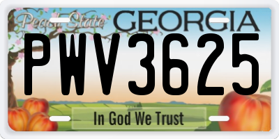 GA license plate PWV3625