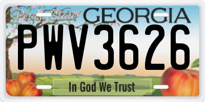 GA license plate PWV3626
