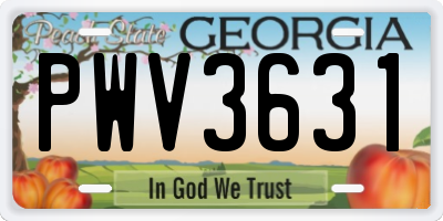 GA license plate PWV3631