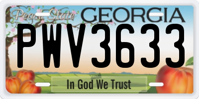 GA license plate PWV3633