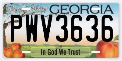 GA license plate PWV3636