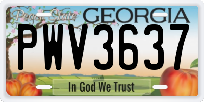 GA license plate PWV3637