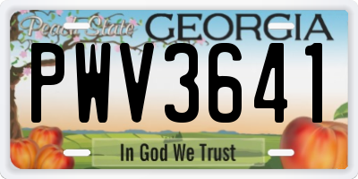GA license plate PWV3641