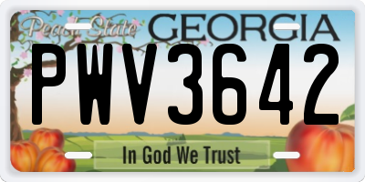 GA license plate PWV3642