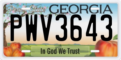 GA license plate PWV3643