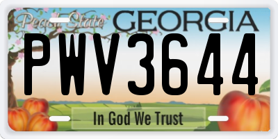 GA license plate PWV3644