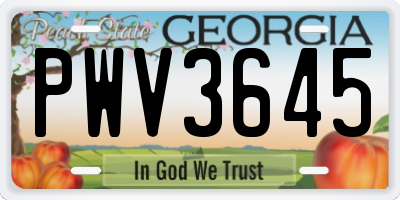 GA license plate PWV3645