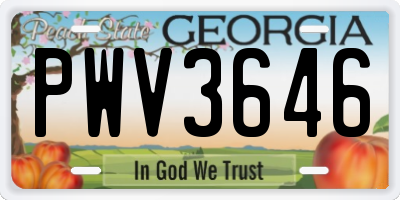 GA license plate PWV3646