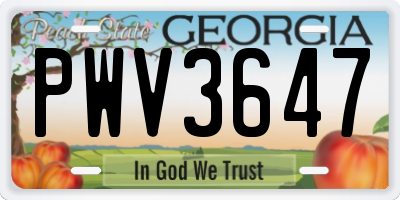 GA license plate PWV3647