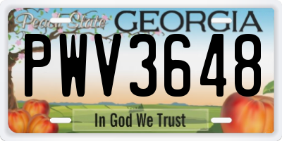 GA license plate PWV3648