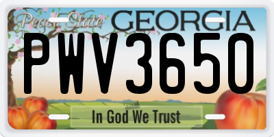 GA license plate PWV3650