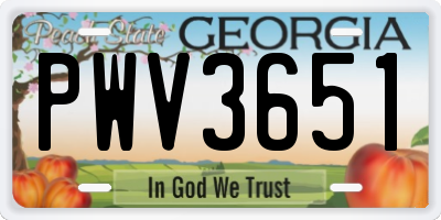 GA license plate PWV3651