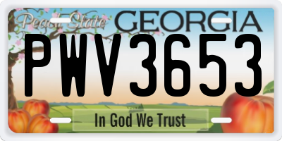 GA license plate PWV3653