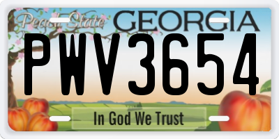 GA license plate PWV3654